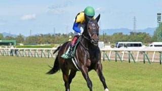 【京成杯AH予想】サマーマイルシリーズ最終戦 秋競馬の開幕告げるハンデ重賞
