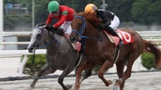 【高知・堆金菊特別】シュクメルリが準重賞制覇…高知2歳戦