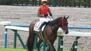 【日曜阪神6R】未勝利を好時計勝ちのマイネルフォーコン ダート替わりで巻き返す