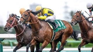 荒れるハンデ戦も今年は前例ない構成に？ 過去好走パターンの人気薄馬条件とは？