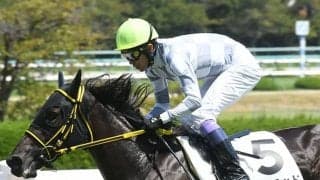 【阪神4R新馬戦結果】ビーグラッドが人気に応えて逃げ切りV！