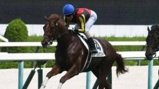 【阪神5R新馬戦結果】5番人気のサークルオブジョイが押し切ってデビューV！