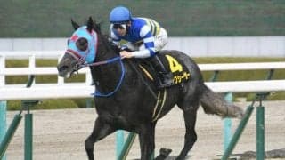 【セントウルS・馬体重】ビッグシーザーは512kg(+4)、ジャングロは462kg(-6)