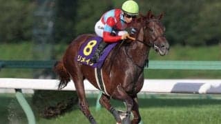 【コリアスプリント結果】リメイクがレコードで4馬身差圧勝！ 異国の地で重賞3勝目挙げる