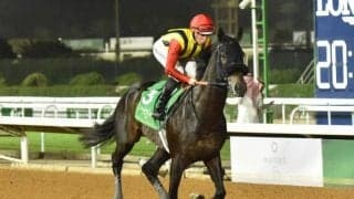 【コリアC結果】クラウンプライドが10馬身差圧勝！ グロリアムンディと日本馬ワンツー