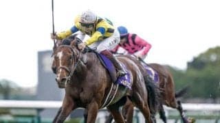 【セントライト記念】ソールオリエンス、ドゥラエレーデらが登録