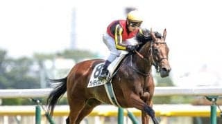 【ローズS】ブレイディヴェーグ、ラヴェルらが登録