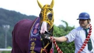 6馬身差で重賞7勝目 ショウガタップリが巻き返しのV/佐賀・西日本ダービー結果