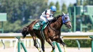 【阪神JS】ホッコーメヴィウス、エイシンクリックらが登録