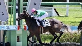 【新馬/中山3R】シルバーステート産駒 ネオシルバーがデビュー勝ち