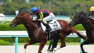 【新馬/阪神5R】5番人気サークルオブジョイがデビューV…1番人気のブラーヴイストワルは2着