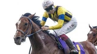 JRAは3日間開催 3歳GI前哨戦のセントライト記念、ローズSなど/今週の競馬界の見どころ