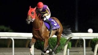 【水沢・青藍賞】ゴールデンヒーラーが7馬身差圧勝…南部杯トライアル