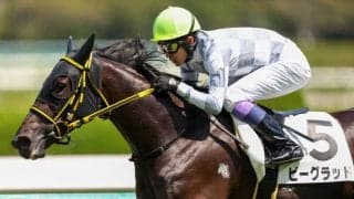 【新馬/阪神4R】武豊「前向きさがある」ビーグラッドがデビューV