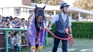 【紫苑S】売上は41億3619万4200円で昨年より約5.5億円増加