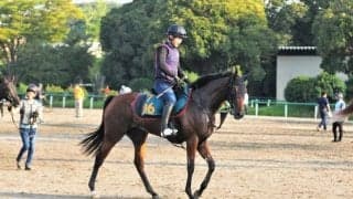 近親に米G1覇者や秋華賞2着馬 世代屈指の良血がルメール騎手背に初陣/関東馬メイクデビュー情報