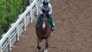 ブリックスアンドモルタル産駒のサンブノワ 初陣に向けて調整順調/関西馬メイクデビュー情報