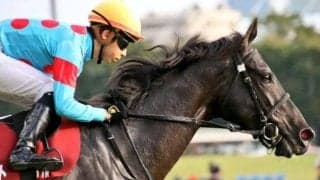 【先週のJRA抹消馬】21年のフローラS制したクールキャット、京都新聞杯でのちのダービー馬破ったレッドジェニアルなど