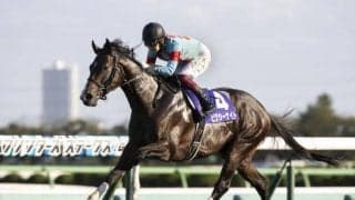 次走では全ての条件が好転 復帰後連敗中でも血統的には侮れないピクシーナイト