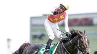 【阪神JS想定騎手】ジューンベロシティは西谷誠騎手、ホッコーメヴィウスは平沢健治騎手