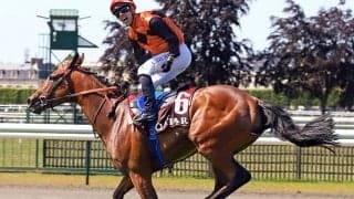 【凱旋門賞オッズ】日本馬スルーセブンシーズは17倍で7番人気タイ 1番人気は無敗の仏ダービー馬