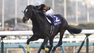 予想で特に血統を活用したほうがいい時とは？ 距離や馬場状態はもちろんだが…