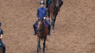 ドウデュースなど、先週の入厩情報/栗東トレセンニュース