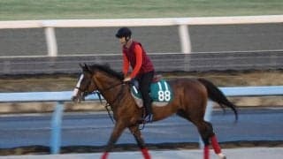 バロンドールなど、先週のゲート試験/栗東トレセンニュース