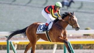 【ローズS予想オッズ】ブレイディヴェーグが予想1番人気