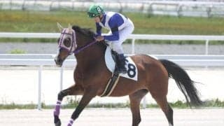 最高齢は19歳牝馬 金沢の9歳以上限定「敬馬賞」の出走予定メンバー