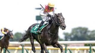 【阪神JS予想オッズ】ジューンベロシティが予想1番人気