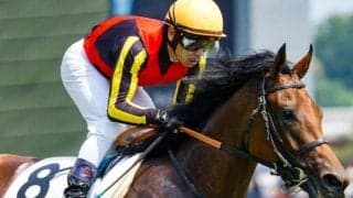 6馬身差で未勝利戦突破の“大物候補”がローズSに サンデーレーシングの素質馬参戦