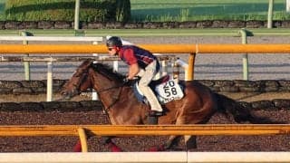 メイケイエール、スプリンターズS追い切り速報/栗東トレセンニュース