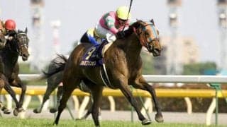 カワカミプリンセス死す 06年にオークスと秋華賞の牝馬二冠