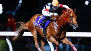 【川崎・若武者賞結果】グラッシーズマンが無傷2連勝で重賞初制覇！