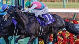 22年ホープフルS覇者がセントライト記念参戦 思い出の地で重賞2勝目狙う