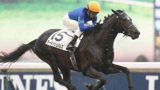 20年の菊花賞出走馬やエリザベス女王杯覇者の仔など ネットオークションに出品