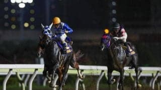 米G1・2着馬と重賞3勝馬の“ヒーロー対決”再び/川崎・戸塚記念