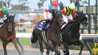 22年のチャンピオンズC覇者ジュンライトボルトが抹消 今後は優駿SSで種牡馬入り