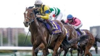 【セントライト記念出走馬・騎手確定】ソールオリエンス＆横山武史騎手、レーベンスティール＆J.モレイラ騎手など15頭