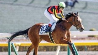 【ローズS出走馬・騎手確定】ブレイディヴェーグ＆C.ルメール騎手、ソーダズリング＆武豊騎手など17頭