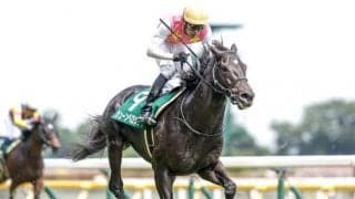 【阪神ジャンプS出走馬・騎手確定】ジューンベロシティ＆西谷誠騎手、ホッコーメヴィウス＆平沢健治騎手など14頭