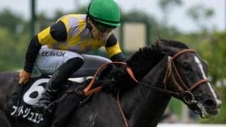 孝行娘の良血がローズSで重賞再挑戦 前走は着差以上の完勝だけに期待十分か