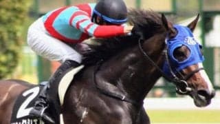 ローズS参戦馬は夏挟み別馬のような充実ぶり 清水久詞厩舎が牝馬で9年ぶりJRA重賞Vへ