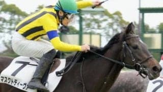 近親にGI馬やダート重賞覇者 同舞台圧勝の勢いそのままにローズS制覇へ