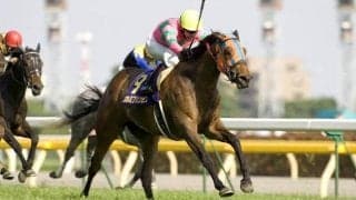 無敗のオークス馬が天国へ/島田明宏