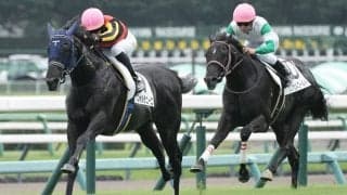 【新馬/中山5R】単勝1.5倍フォルラニーニが断然人気に応える