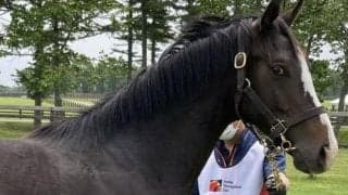 名牝系出身のエピファネイア産駒 モレイラ騎手とのコンビでデビュー