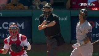 見逃し三振は球審の見せ場 ぎりぎりストライクに気合の空手風アクション、現地実況も一緒に「ハッ！」