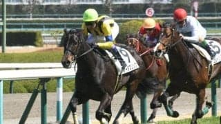 【ローズS枠順確定】ブレイディヴェーグは3枠5番、ソーダズリングは1枠2番